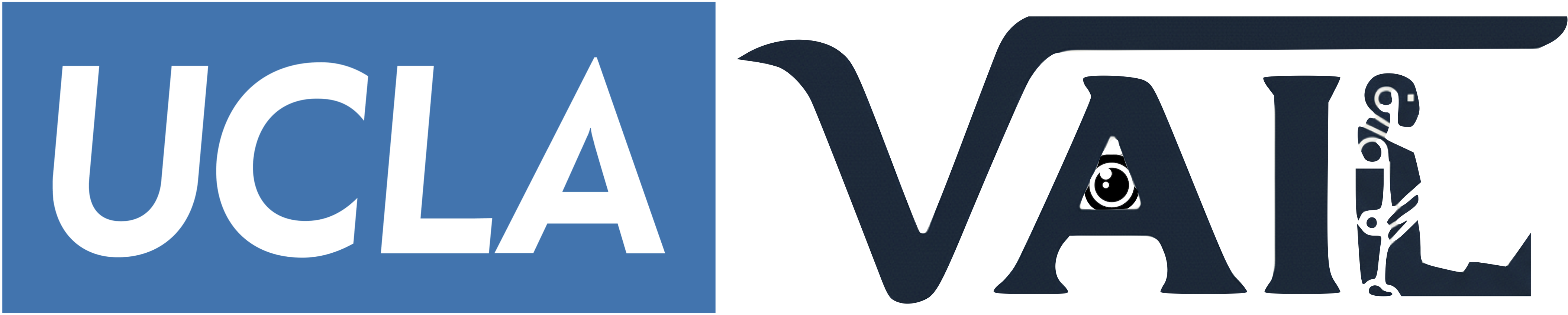 UCLA VAIL